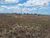 Terreno, 3 hectares - Foto 1