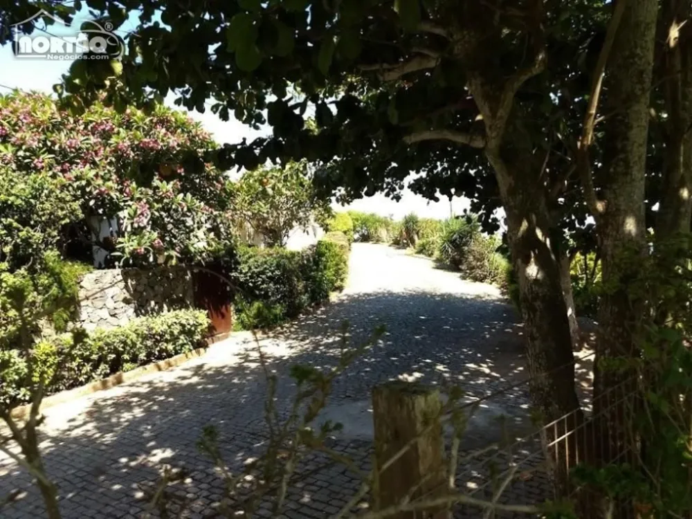 Casa, 6 quartos - Foto 9