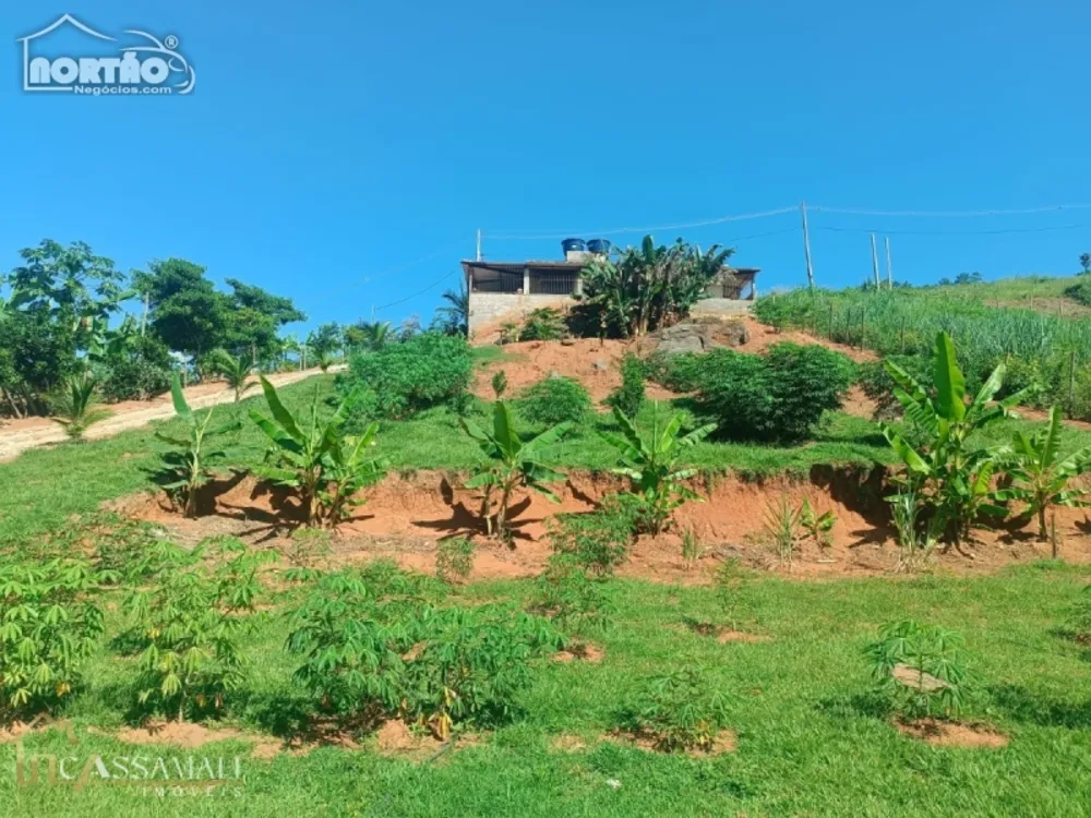 Casa, 5 quartos, 3000 m² - Foto 5