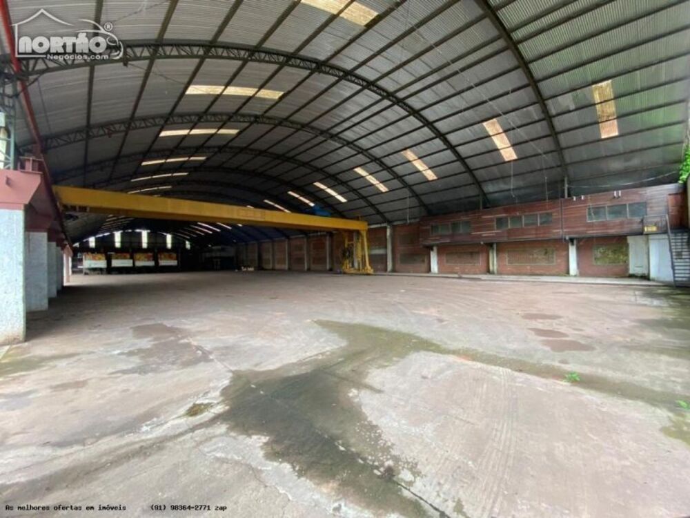 Casa, 55681 m² - Foto 3