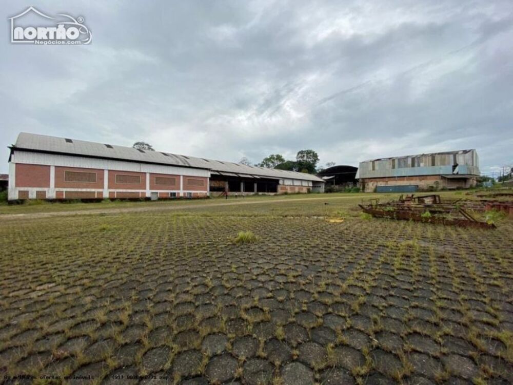 Casa, 55681 m² - Foto 4