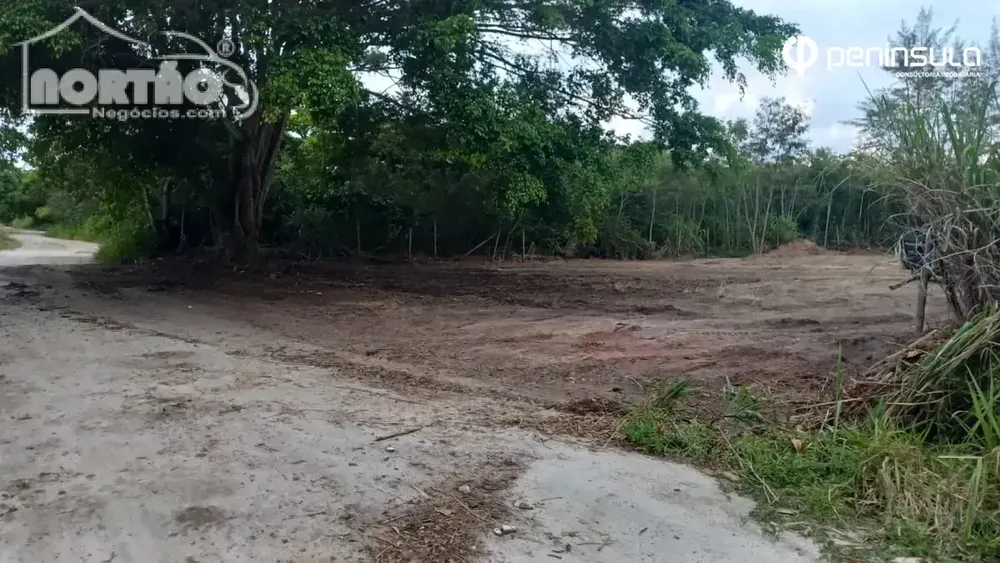 Casa, 1000 m² - Foto 6