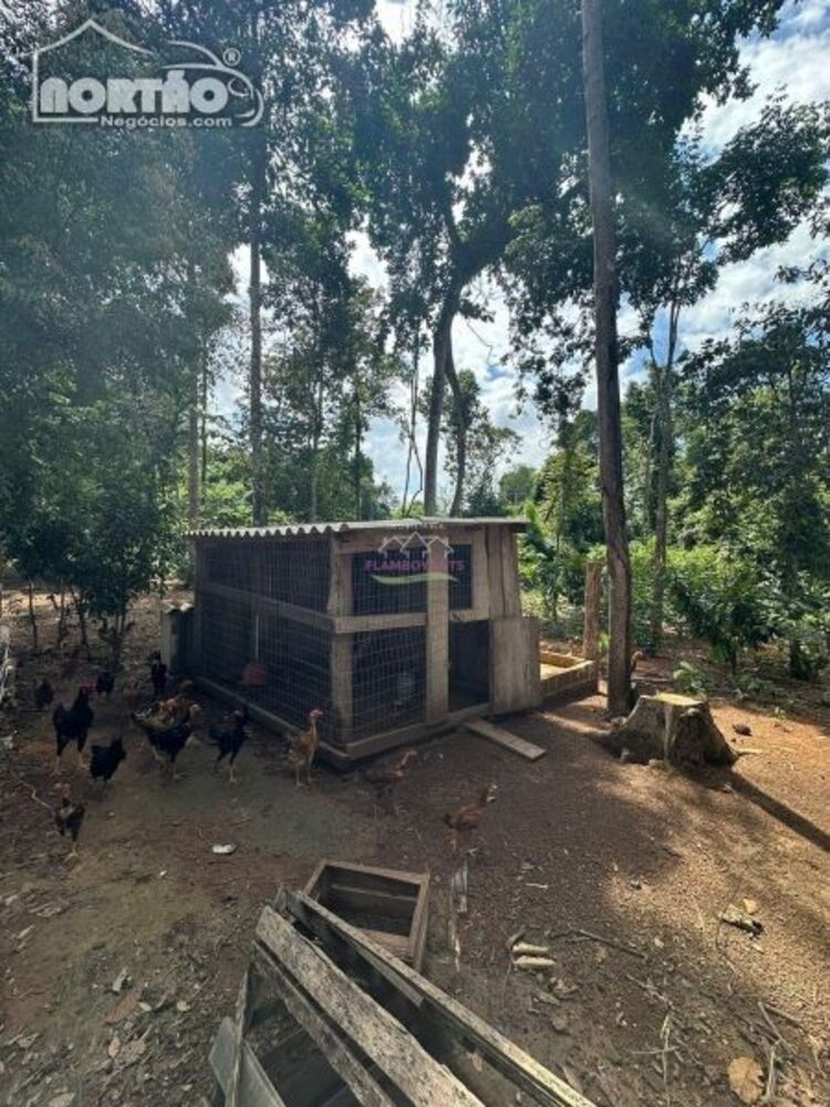 Casa, 3 quartos, 5400 m² - Foto 4