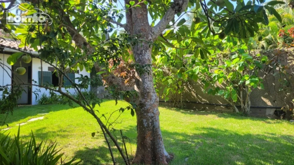 Casa, 7 quartos, 1520 m² - Foto 23