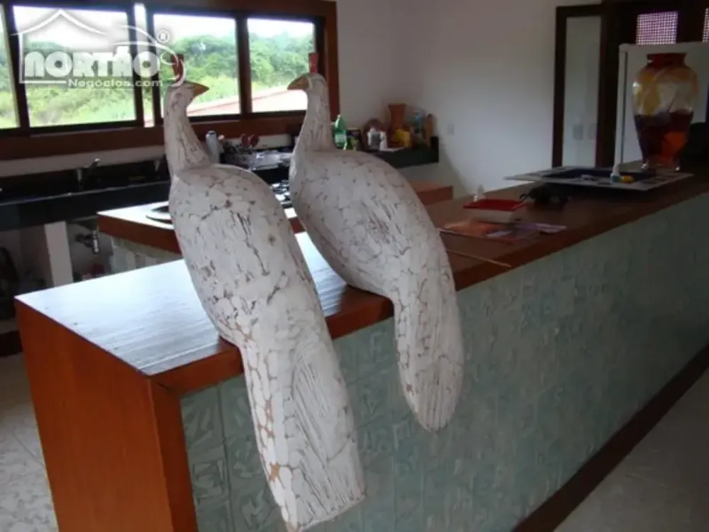 Casa, 9 quartos, 220 m² - Foto 10
