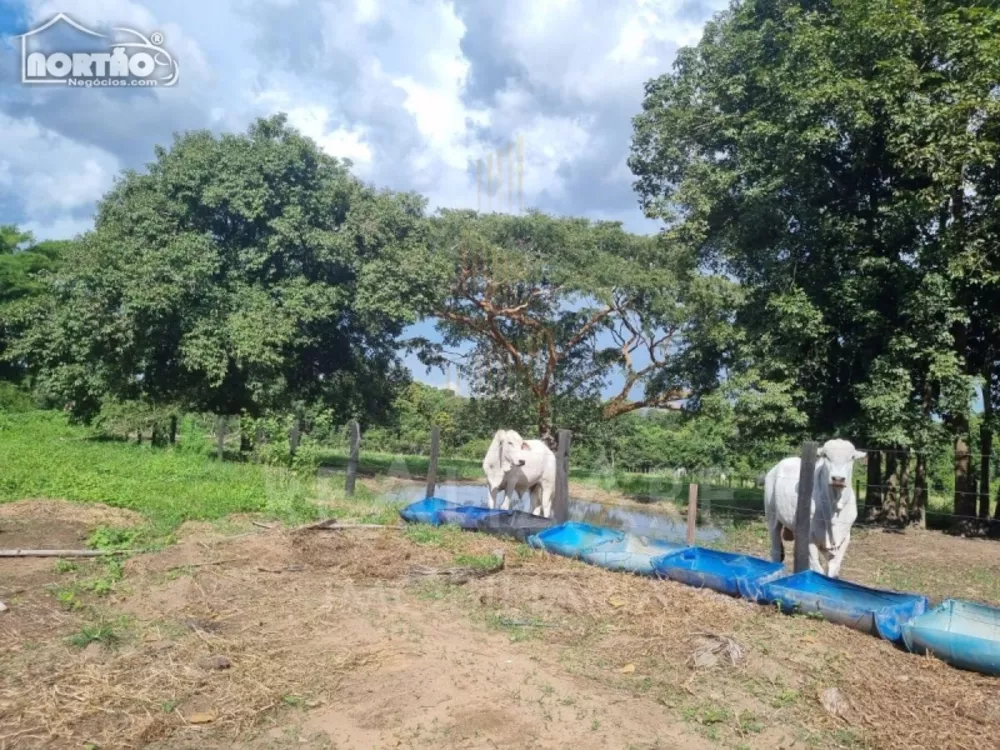 Casa à venda - Foto 4