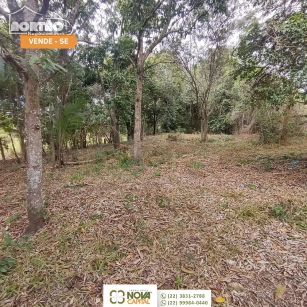 Casa, 4 quartos, 2044 m² - Foto 5
