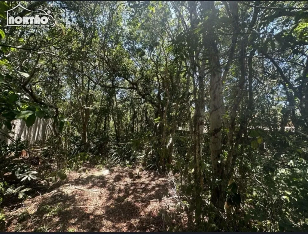 Casa, 450 m² - Foto 11