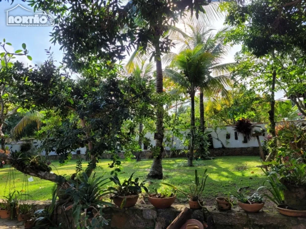 Casa, 4 quartos, 2250 m² - Foto 4