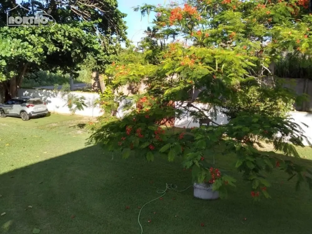 Casa, 4 quartos, 1200 m² - Foto 12