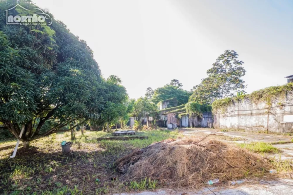 Terreno à venda, 2423m² - Foto 5