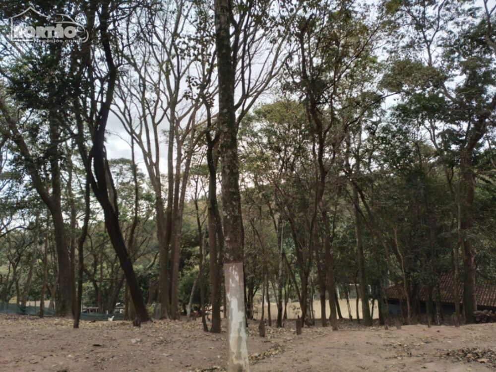 Casa, 3 quartos, 220 m² - Foto 8