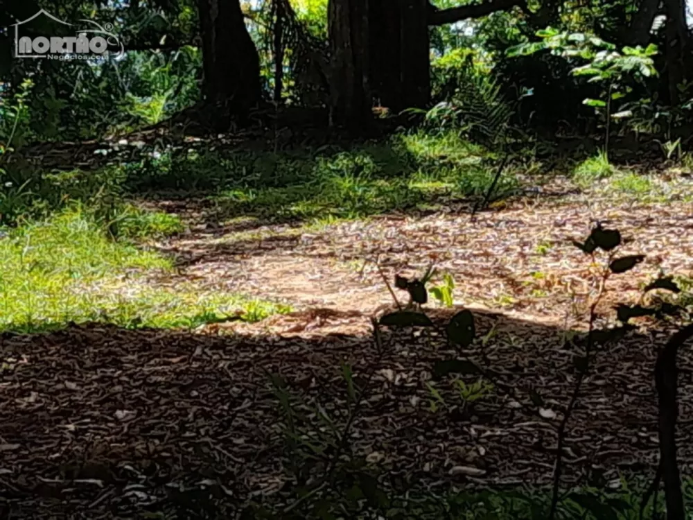 Terreno à venda - Foto 4