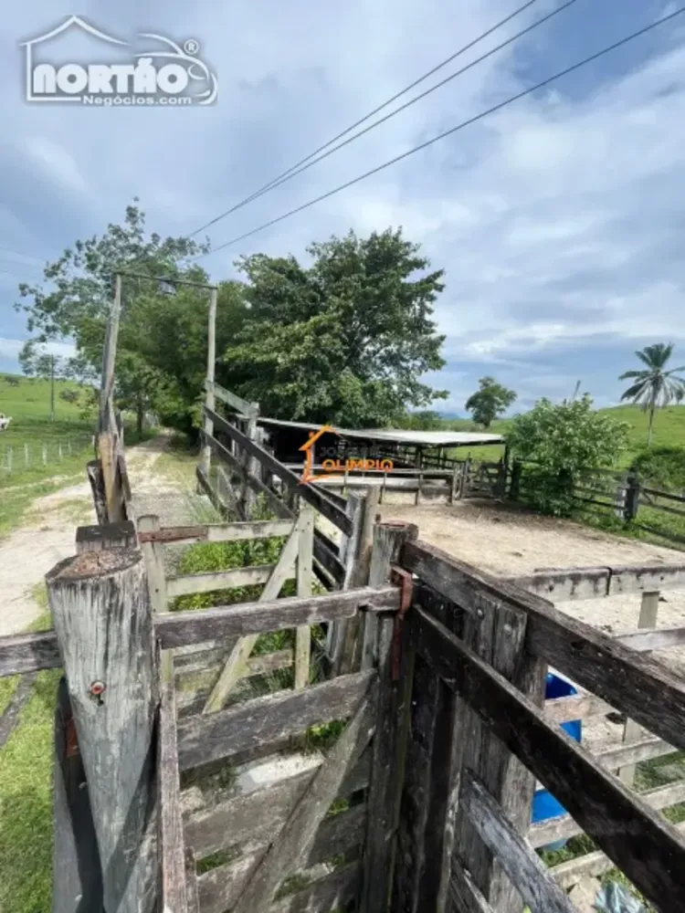 Casa, 10 quartos, 1452000 m² - Foto 3
