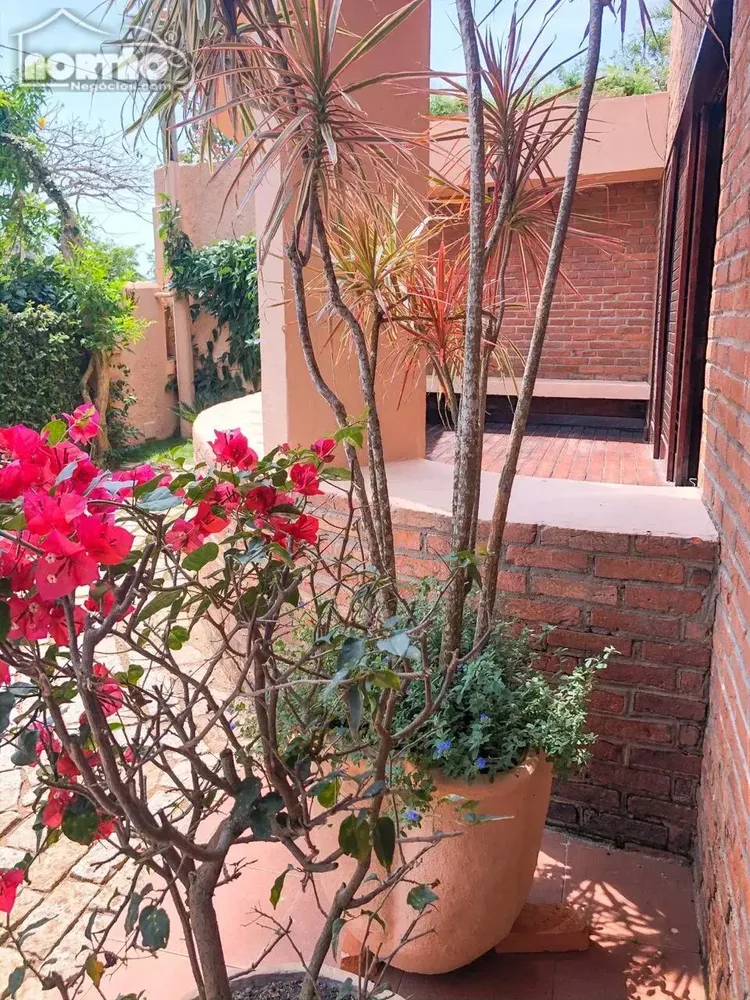 Casa, 4 quartos, 252 m² - Foto 8