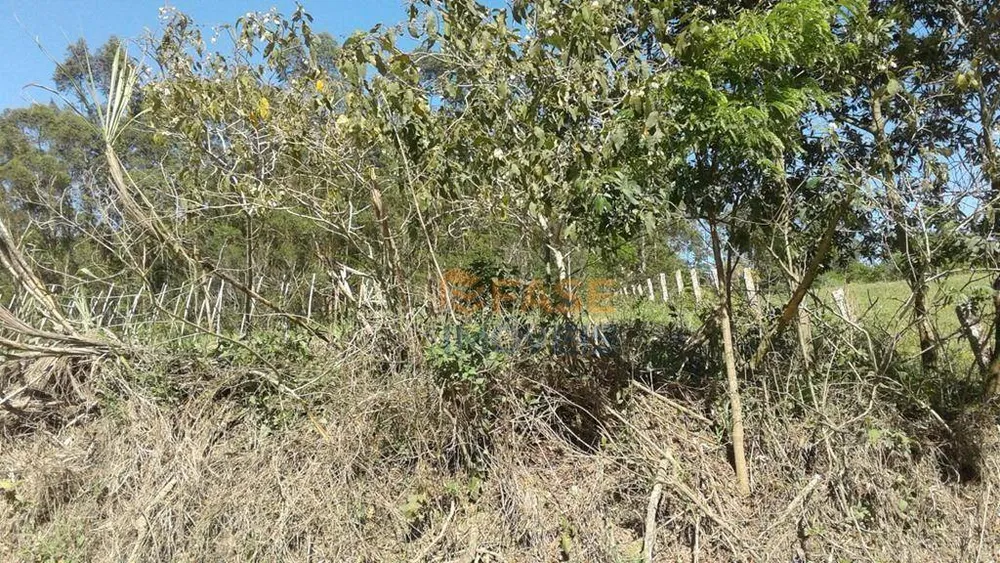 Terreno, 10 hectares - Foto 10