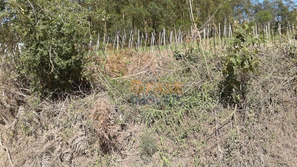 Terreno, 10 hectares - Foto 9