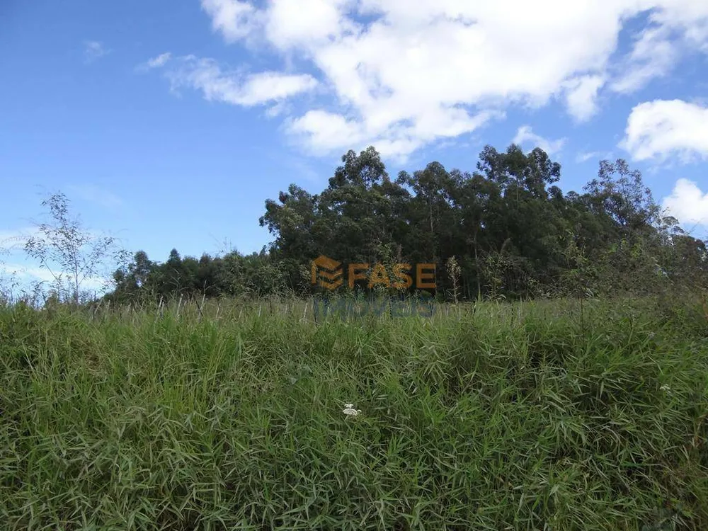 Terreno, 10 hectares - Foto 4