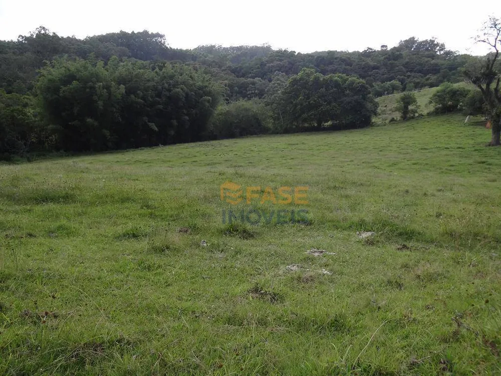 Terreno, 10 hectares - Foto 6
