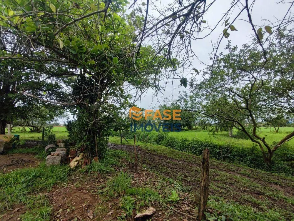 Terreno, 2 hectares - Foto 3