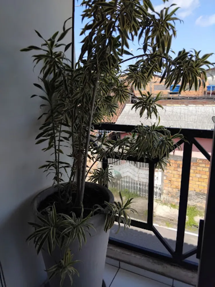 Casa, 3 quartos, 130 m² - Foto 6