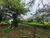 Terreno, 2 hectares - Foto 2