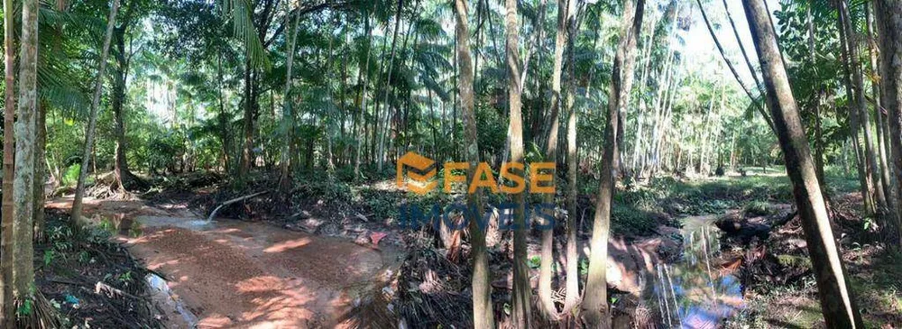 Terreno, 2 hectares - Foto 13