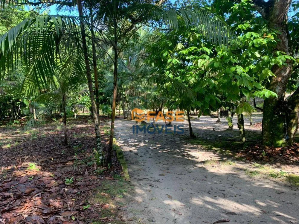 Terreno, 2 hectares - Foto 10