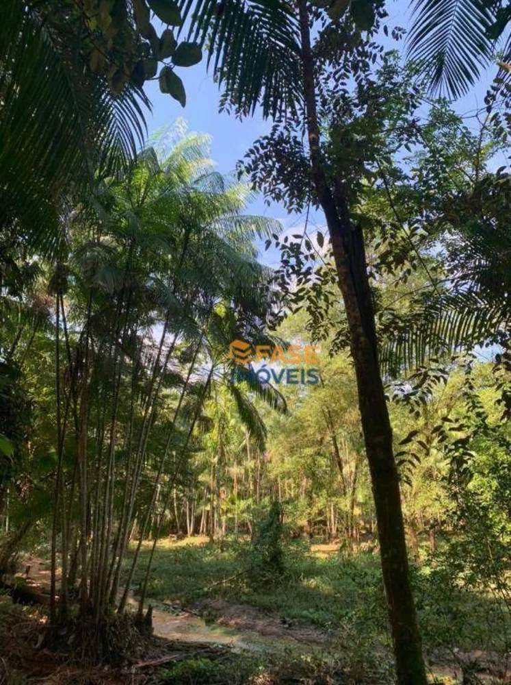 Terreno, 2 hectares - Foto 15