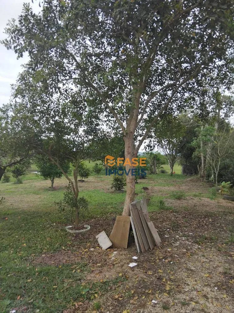 Sítio, 2 quartos, 2 hectares - Foto 4