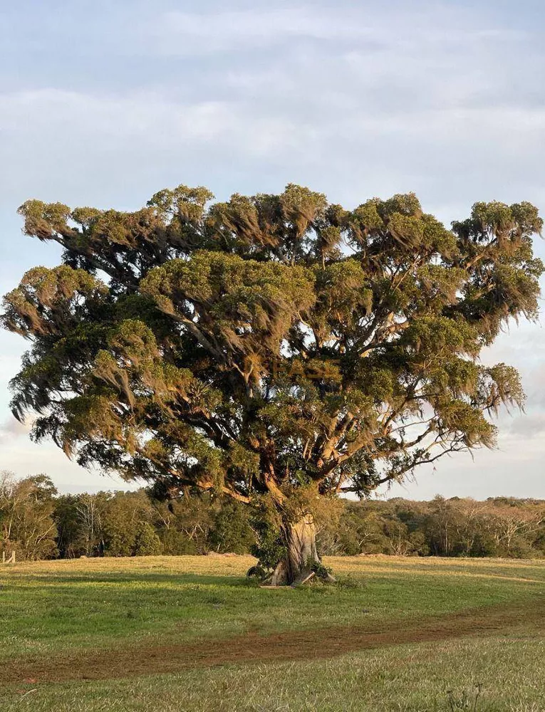 Loteamento e Condomínio, 360 m² - Foto 4