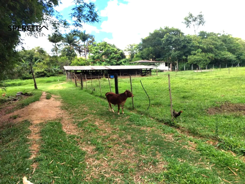Sítio, 3 quartos - Foto 4