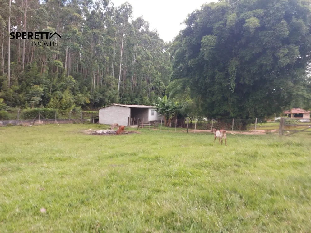 Sítio, 3 quartos - Foto 2