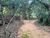 Terreno, 150 m² - Foto 8