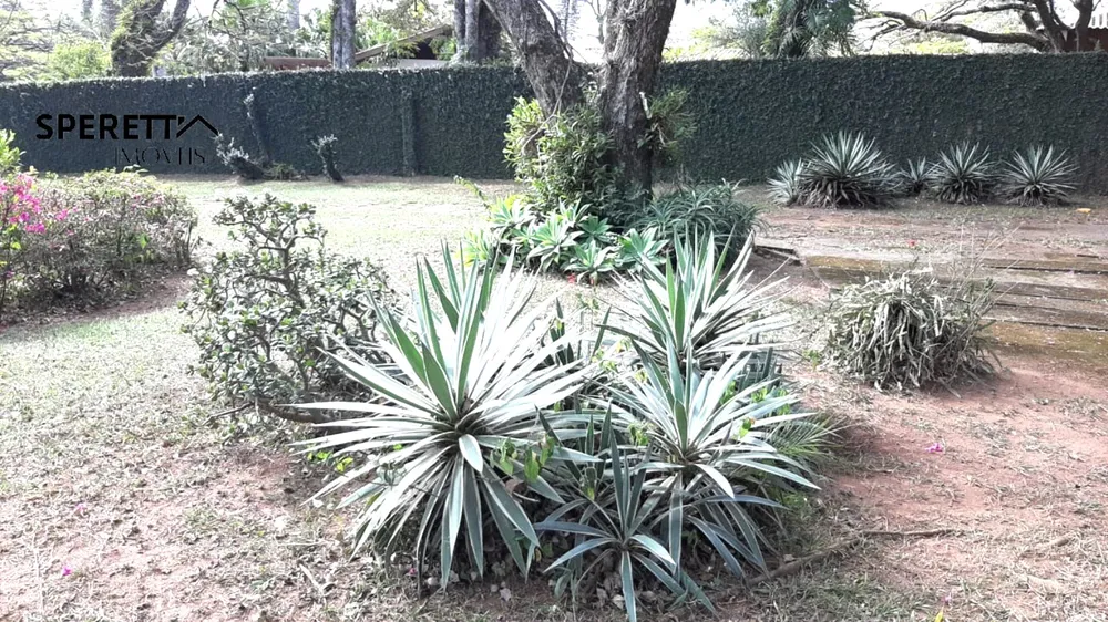 Terreno, 5000 m² - Foto 7