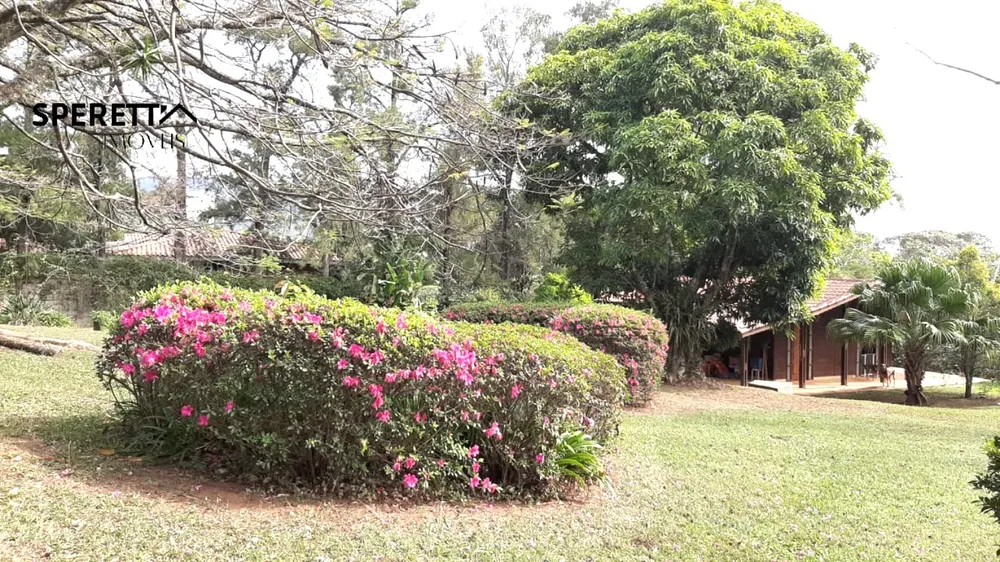 Terreno, 5000 m² - Foto 6
