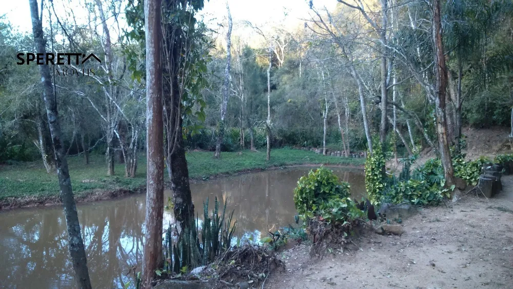 Casa, 3 quartos, 492 m² - Foto 15