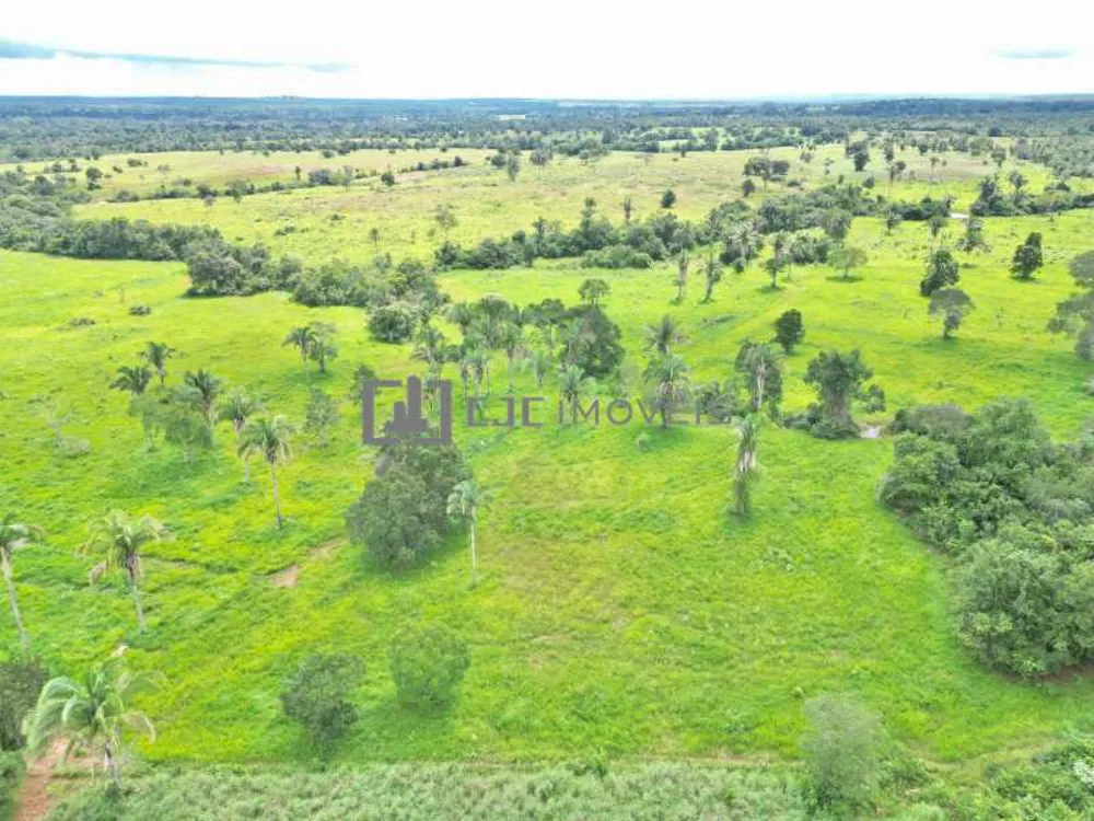 Fazenda, 32 m² - Foto 4