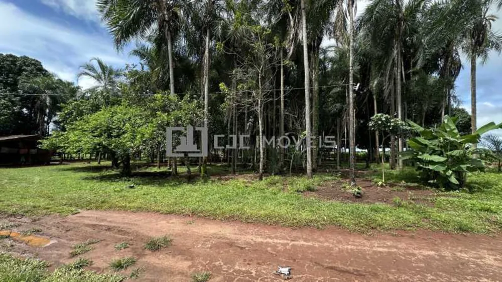 Fazenda, 120 m² - Foto 7