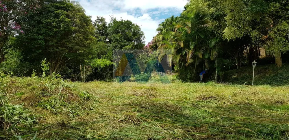 Casa, 6 quartos - Foto 6