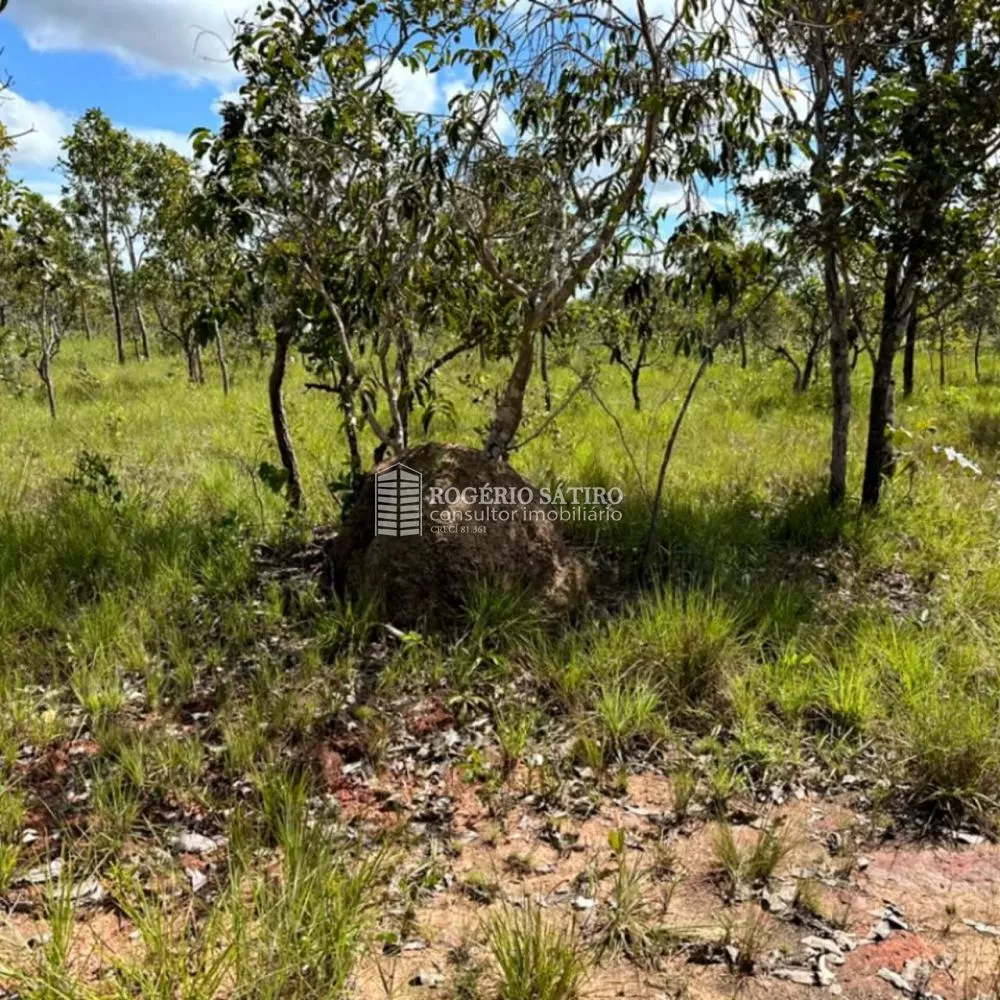 Fazenda à venda, 3400m² - Foto 2