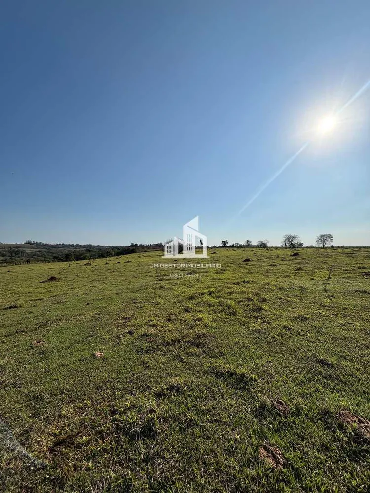 Sítio, 14 hectares - Foto 4