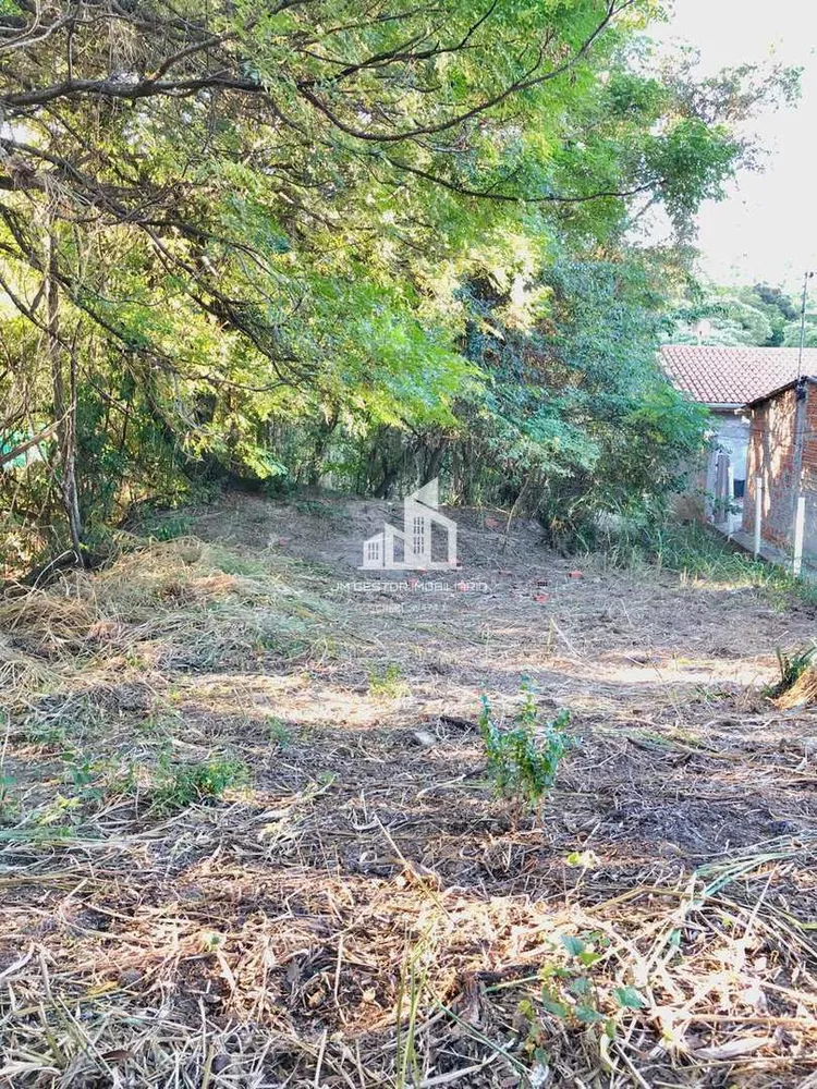 Terreno, 2636 m² - Foto 3