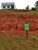 Terreno, 150 m² - Foto 1
