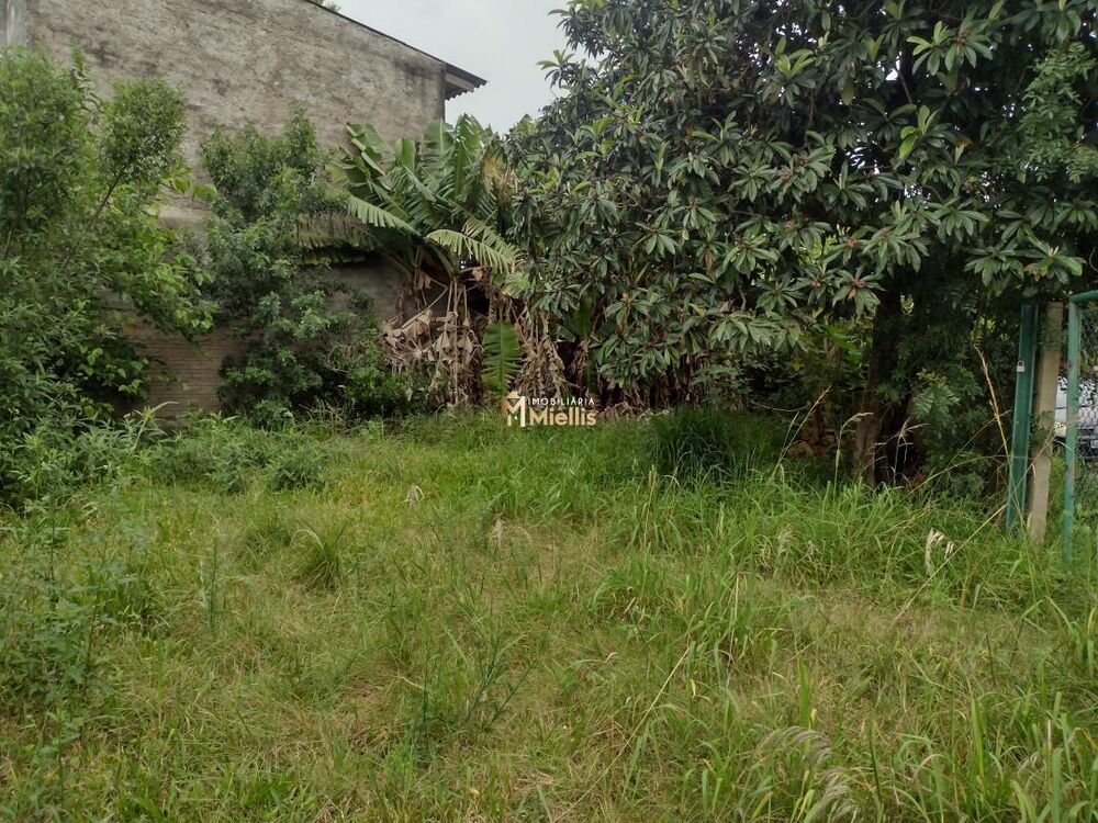 Terreno, 1031 m² - Foto 4