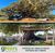Terreno, 180 m² - Foto 4