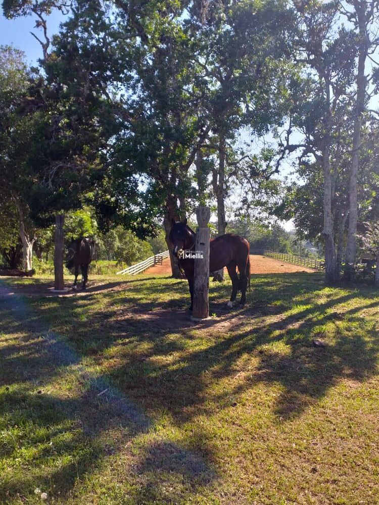 Terreno, 1300 m² - Foto 1