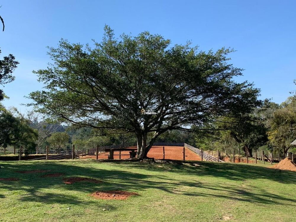 Terreno, 1300 m² - Foto 3