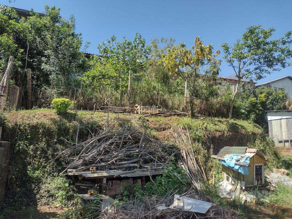 Terreno, 300 m² - Foto 6