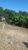 Terreno, 300 m² - Foto 1